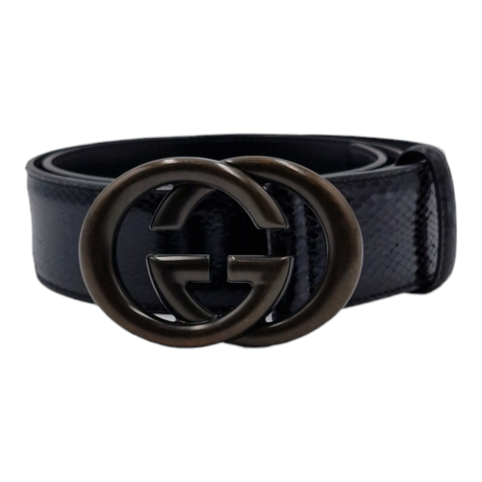 Cintura gucci serpente corallo shop